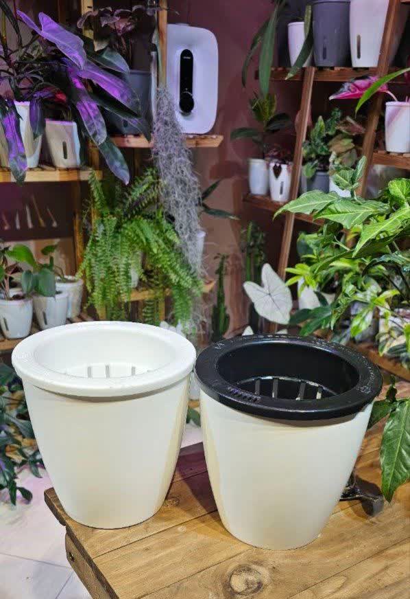 گلدان هیدروپونیک سایز16