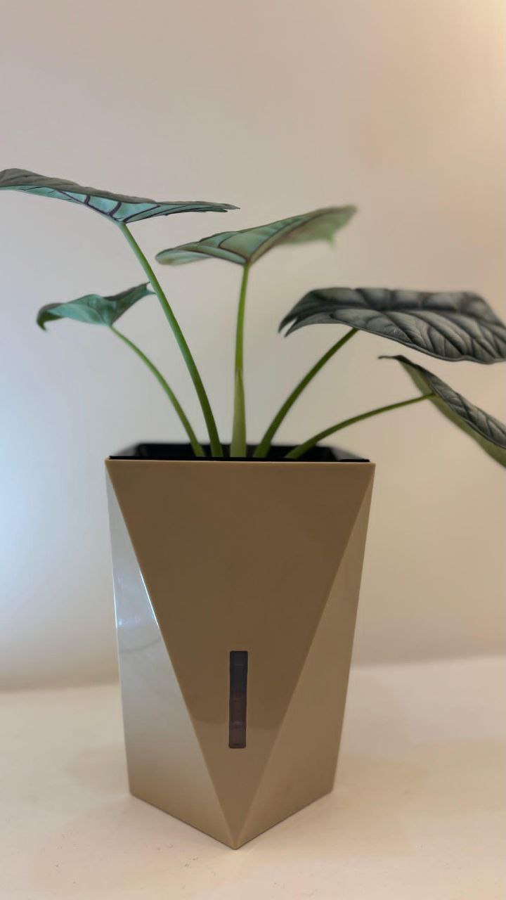 گلدان هیدروپونیک مدرنm1